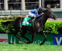 /album/galeria-de-fotos/wford08-1a-jpg/