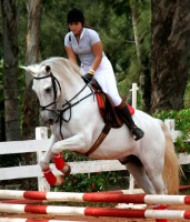 /album/galeria-de-fotos/a1862821-jpg/