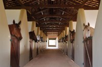 /album/galeria-de-fotos/estabulo-jpg/